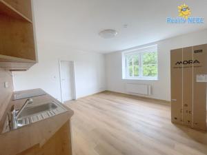 Pronájem bytu 1+kk, Praha - Chodov, Švabinského, 27 m2