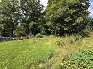 Prodej podílu 1/1 zemědělské usedlosti, Dolní Žandov, 200 m2