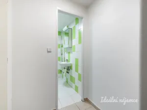 Pronájem bytu 1+kk, Praha - Vršovice, Petrohradská, 24 m2