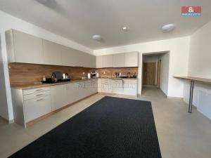 Pronájem bytu 1+kk, Ostrava - Vítkovice, Lidická, 30 m2