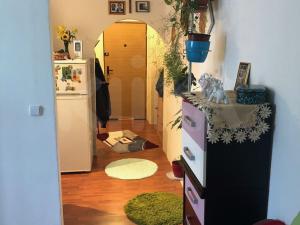 Prodej bytu 1+1, Horní Slavkov, Dlouhá, 34 m2