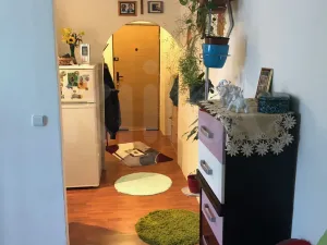 Prodej bytu 1+1, Horní Slavkov, Dlouhá, 34 m2