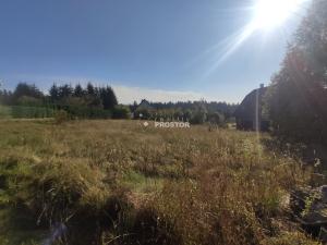 Prodej pozemku pro bydlení, Vortová, Vortová, 1232 m2