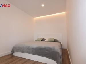 Pronájem bytu 2+kk, Olomouc - Nová Ulice, Wellnerova, 57 m2