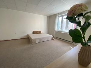 Pronájem bytu 1+1, Ostrava, Bachmačská, 61 m2