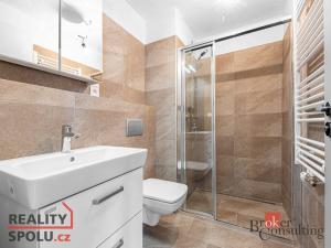 Pronájem bytu 1+kk, Plzeň - Východní Předměstí, Slovanská, 31 m2