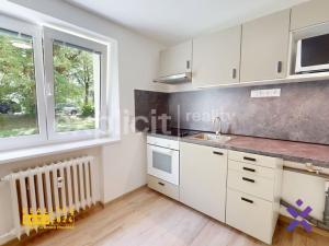 Pronájem bytu 1+1, Uherský Brod, Na Dlouhých, 29 m2