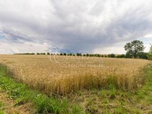 Prodej pozemku pro bydlení, Vražné, 4254 m2