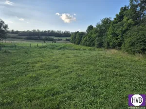 Prodej pozemku pro bydlení, Blevice, 1000 m2