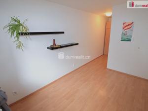 Pronájem bytu 2+kk, Praha - Smíchov, Nad Palatou, 30 m2