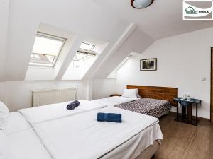 Pronájem bytu 1+kk, Cheb, Májová, 22 m2