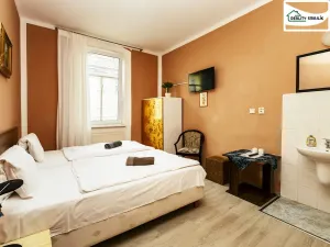 Pronájem bytu 1+kk, Cheb, Svobody, 22 m2