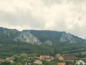 Prodej ubytování, Horní Věstonice, Morušová, 350 m2