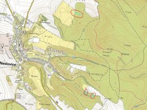 Prodej lesa, Neslovice, 2112 m2