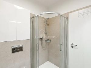 Pronájem bytu 1+kk, Beroun, Na Veselou, 38 m2