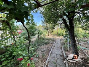 Prodej rodinného domu, Medovo, Bulharsko, 110 m2