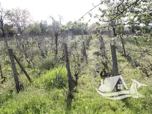 Prodej rodinného domu, Goritsa, Bulharsko, 80 m2