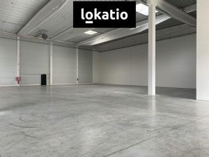 Pronájem skladu, Cheb, 18200 m2