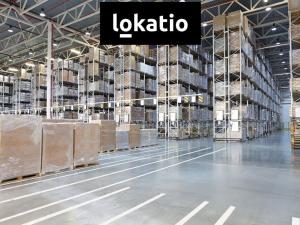 Pronájem skladu, Cheb, 18200 m2