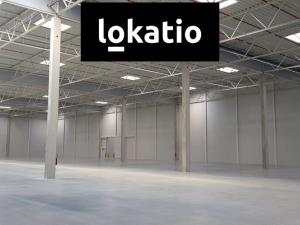 Pronájem skladu, Ostrov, 4753 m2
