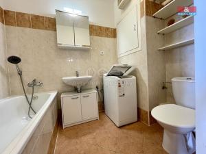 Pronájem bytu 1+kk, Brno, Bělohorská, 40 m2