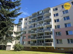 Pronájem bytu 1+1, Žďár nad Sázavou, Haškova, 32 m2