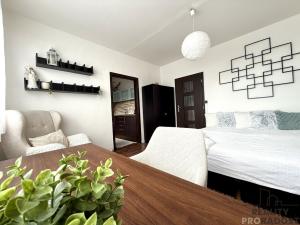 Pronájem bytu 2+1, Olomouc, Lazecká, 44 m2