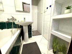 Pronájem bytu 2+1, Olomouc, Lazecká, 44 m2