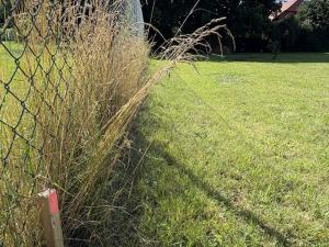 Prodej pozemku pro bydlení, Rabí, 1126 m2