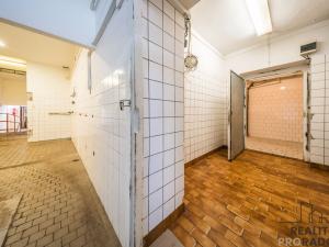 Prodej komerční nemovitosti, Tvarožná Lhota, 278 m2