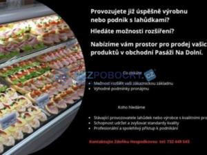 Pronájem kanceláře, Havlíčkův Brod, Dolní, 50 m2