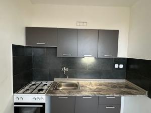 Pronájem bytu 1+1, Chomutov, 17. listopadu, 35 m2
