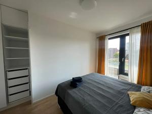 Pronájem bytu 2+kk, Praha, Perucká, 46 m2