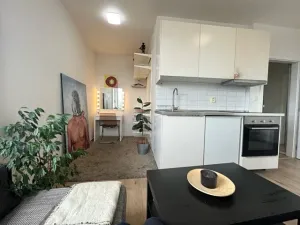 Pronájem bytu 1+kk, Praha, Hornoměcholupská, 26 m2