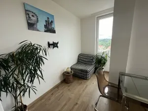 Pronájem bytu 1+kk, Praha, Hornoměcholupská, 26 m2