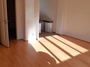 Pronájem bytu 1+kk, Praha - Žižkov, Čajkovského, 41 m2