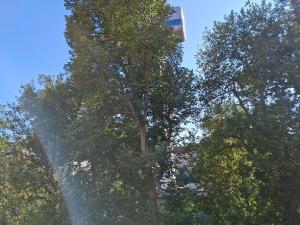 Pronájem bytu 1+kk, Praha - Žižkov, Čajkovského, 41 m2