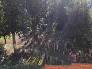 Pronájem bytu 1+kk, Praha - Žižkov, Čajkovského, 41 m2