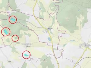 Prodej podílu lesa, Bavorov, 11201 m2