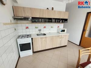 Pronájem bytu 1+1, Mladá Boleslav, U stadionu, 45 m2