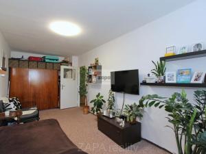 Pronájem bytu 1+1, Praha - Hloubětín, Šestajovická, 30 m2