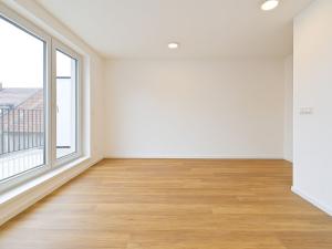 Pronájem bytu 1+kk, Brno - Černovice, Mírová, 33 m2