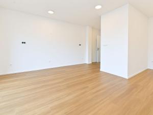 Pronájem bytu 1+kk, Brno - Černovice, Mírová, 33 m2