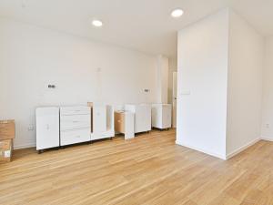 Pronájem bytu 1+kk, Brno - Černovice, Mírová, 33 m2