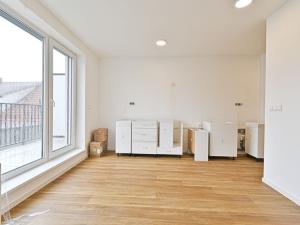 Pronájem bytu 1+kk, Brno - Černovice, Mírová, 33 m2