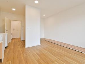 Pronájem bytu 1+kk, Brno - Černovice, Mírová, 33 m2