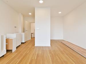 Pronájem bytu 1+kk, Brno - Černovice, Mírová, 33 m2