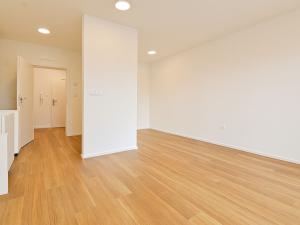 Pronájem bytu 1+kk, Brno - Černovice, Mírová, 33 m2