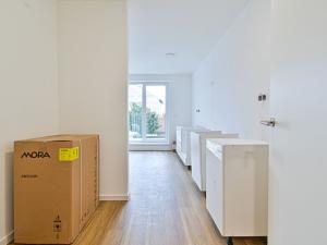 Pronájem bytu 1+kk, Brno - Černovice, Mírová, 33 m2