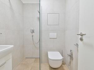 Pronájem bytu 1+kk, Brno - Černovice, Mírová, 33 m2
